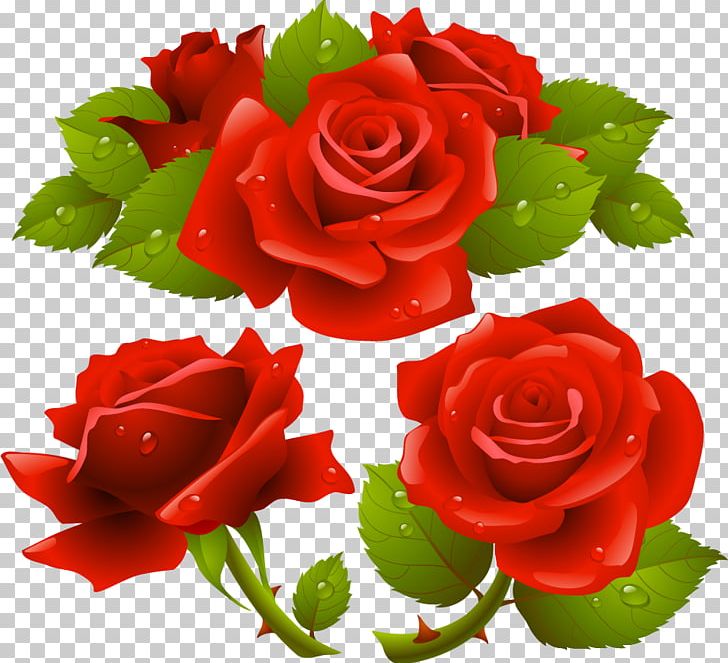 Rose PNG, Clipart, Art, China Rose, Cut Flowers, Download, Encapsulated Postscript Free PNG Download