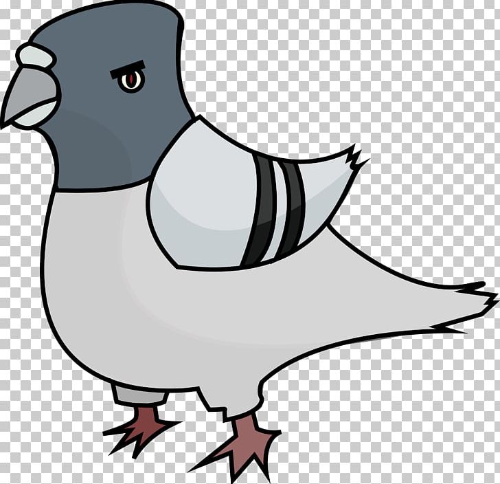 Domestic Pigeon PNG, Clipart, Animals, Artwork, Beak, Bird, Black And White Free PNG Download