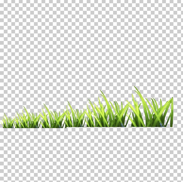 Gratis Icon PNG, Clipart, Angle, Artificial Grass, Cartoon Grass, Creative Grass, Euclidean Vector Free PNG Download