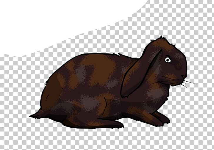 Domestic Rabbit Hare Rodent Whiskers Snout PNG, Clipart, Animal, Animals, Cartoon, Domestic Rabbit, Fauna Free PNG Download