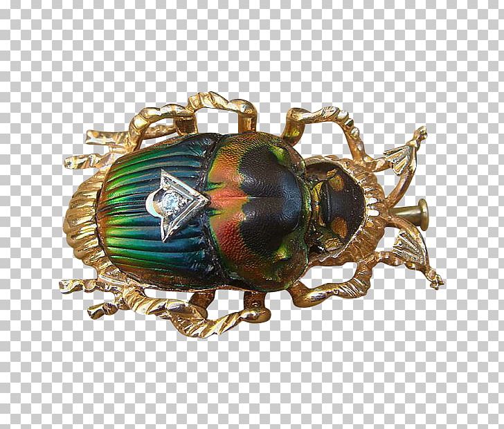 Insect Jewellery PNG, Clipart, Animals, Brooch, Fourteen, Insect, Jewellery Free PNG Download