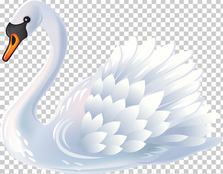 Mute Swan Bird Black Swan PNG, Clipart, Anatidae, Animals, Beak, Bird, Birds Free PNG Download