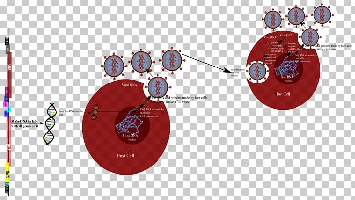 Product Design Diagram Graphics Technology PNG, Clipart, Circle, Diagram, Gene, Hiv, Inkspace Free PNG Download