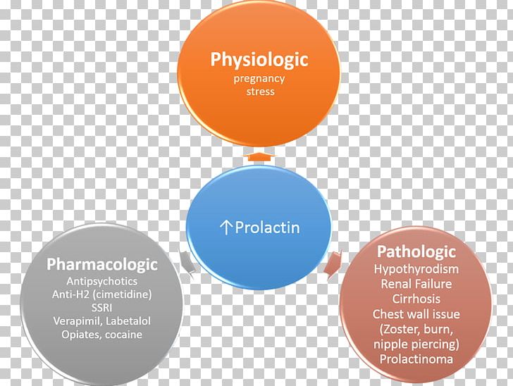 Prolactinoma Hypogonadotropism Hypogonadism Brand PNG, Clipart, Brand, Cause, Communication, Diagram, Elevate Free PNG Download