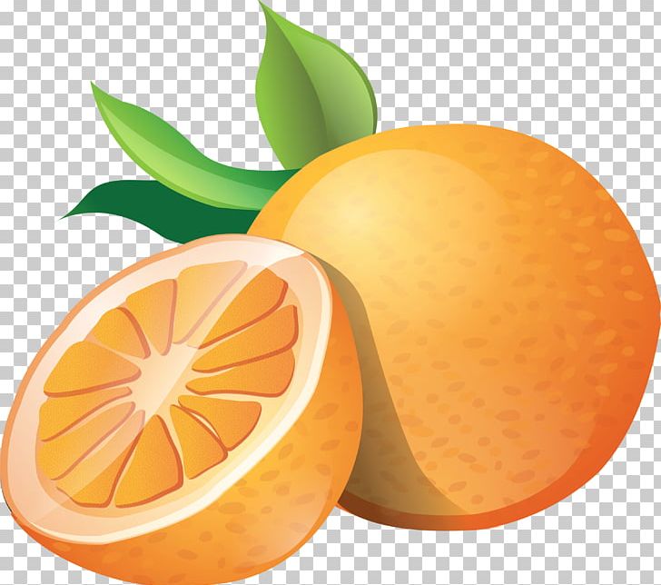 Orange Juice PNG, Clipart, Animation, Bitter Orange, Blog, Chenpi, Citric Acid Free PNG Download