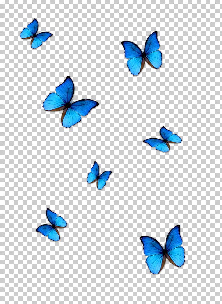 Butterfly Blue Phengaris Alcon PNG, Clipart, Aqua, Azure, Blue, Blue Abstract, Blue Background Free PNG Download