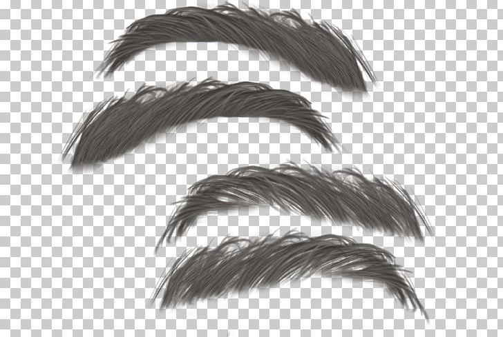 Eyebrow Lens PNG, Clipart, Eye, Eyebrow, Eye Liner, Feather, Hair Free PNG Download