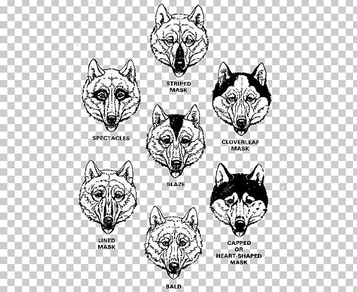 Whiskers Siberian Husky Snout Canidae PNG, Clipart, Angle, Animal, Black And White, Breed, Canidae Free PNG Download