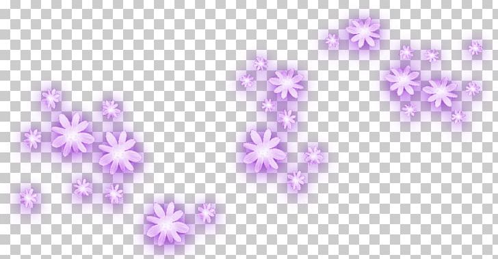 Light PNG, Clipart, Computer Wallpaper, Desktop Wallpaper, Flora, Flower, Flowers Free PNG Download