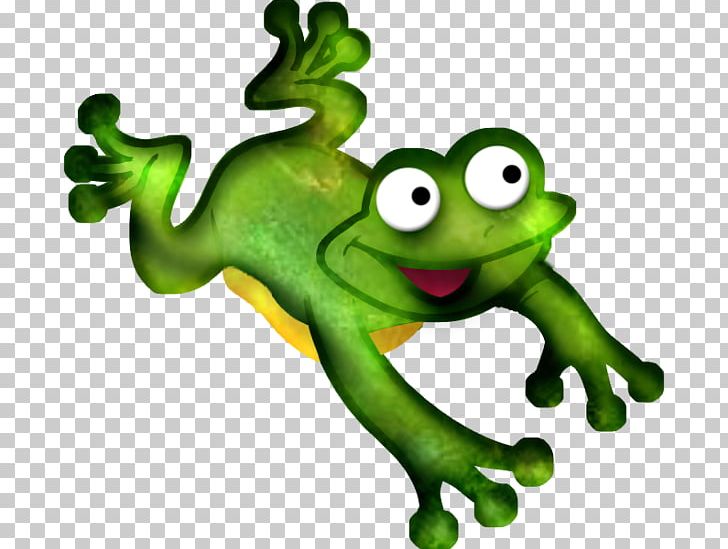 Toad True Frog Tree Frog Drawing PNG, Clipart, Amphibian, Amphibians, Animals, Animation, Creation Free PNG Download