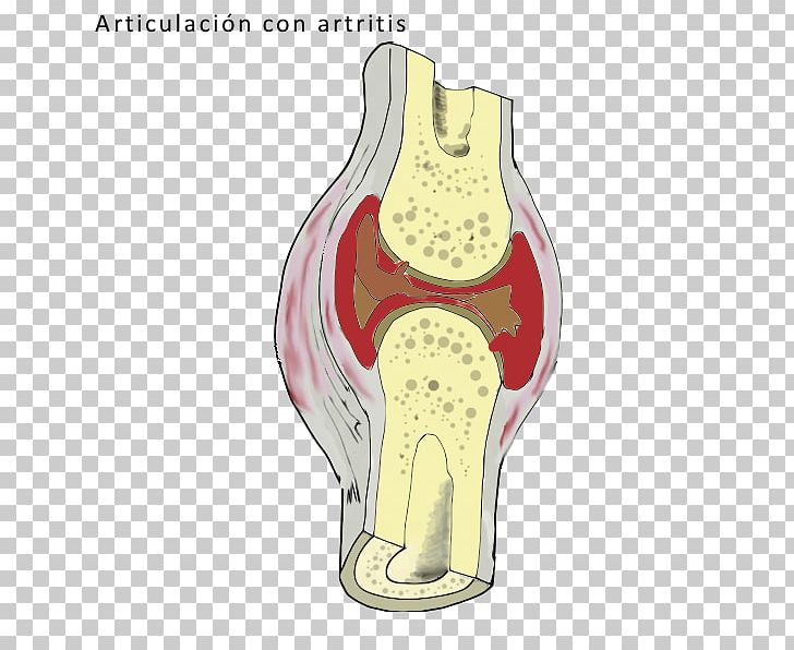 Knee Font PNG, Clipart, Art, Jaw, Joint, Knee, Organ Free PNG Download