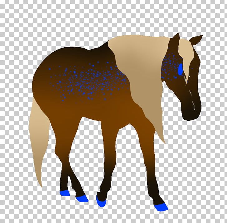 Mule Foal Stallion Halter Mare PNG, Clipart, Bridle, Colt, Donkey, Edgar Dale, Foal Free PNG Download