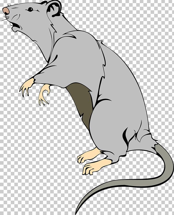 Brown Rat Mouse Laboratory Rat PNG, Clipart, Animals, Animation, Artwork, Beak, Beaver Free PNG Download