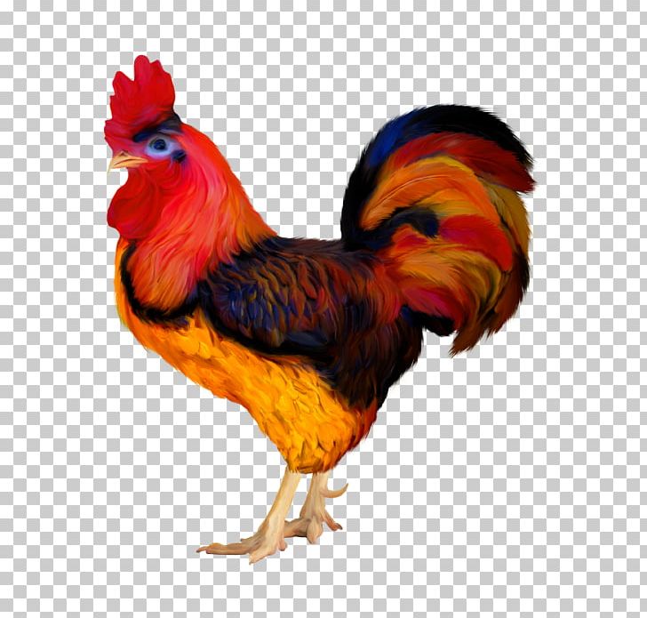 Rooster Chicken Adobe Photoshop Bird PNG, Clipart, Animals, Beak, Bird, Chicken, Feather Free PNG Download