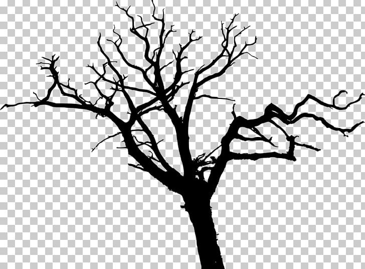 Silhouette Drawing Tree PNG, Clipart, Animals, Bare, Black And White, Branch, Drawing Free PNG Download
