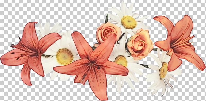 Lily Flower Plant Leaf Petal PNG, Clipart, Bouquet, Cut Flowers, Floral Line, Flower, Flower Background Free PNG Download