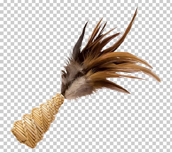 Feather PhotoScape YouTube Tail PNG, Clipart, 1 2 3, Animals, Animation, Blog, Feather Free PNG Download