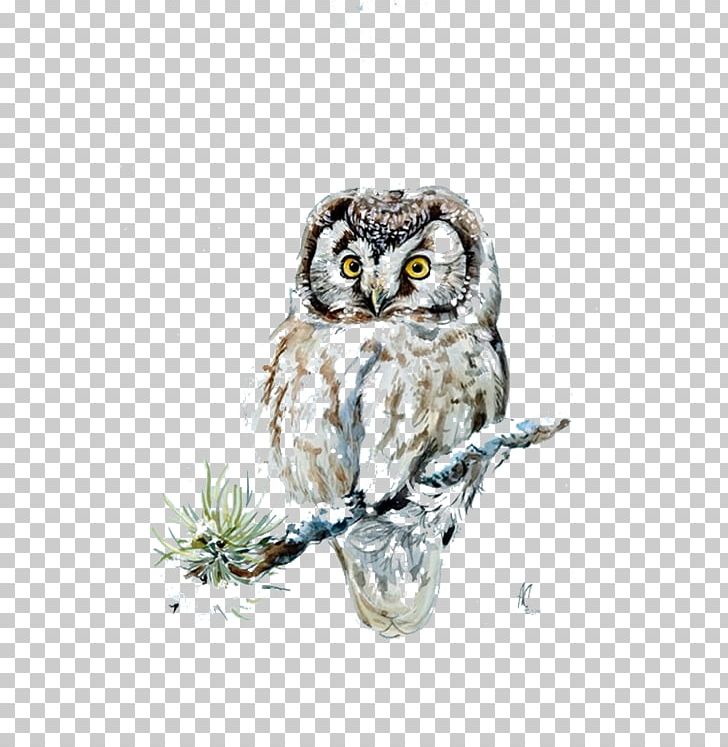 Owl 54 Cards Snow PNG, Clipart, 54 Cards, Adobe Illustrator, Animals, Beak, Bird Free PNG Download