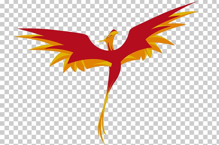 Phoenix PNG, Clipart, Avatar, Beak, Bird, Computer Icons, Computer Wallpaper Free PNG Download