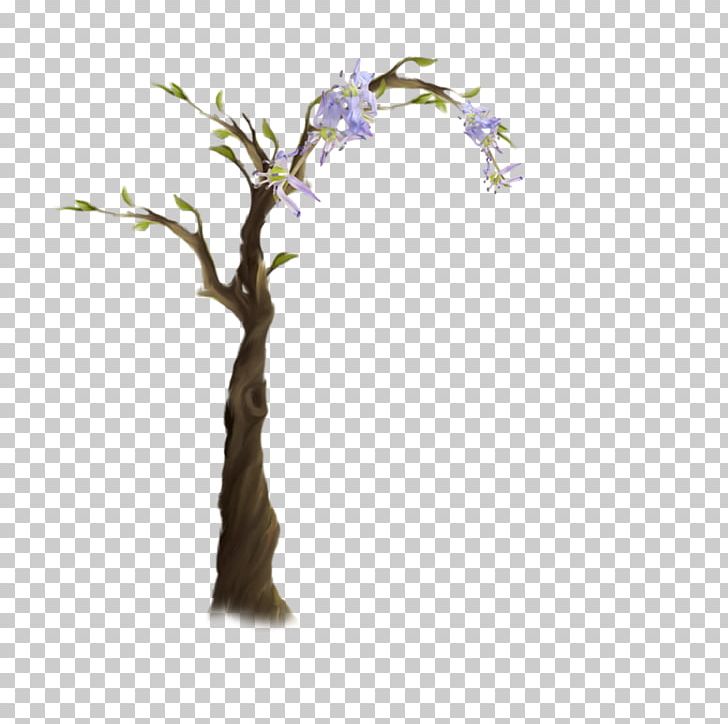 Tree Shrub PNG, Clipart, 22 March, 2017, Branch, Digital Image, Download Free PNG Download