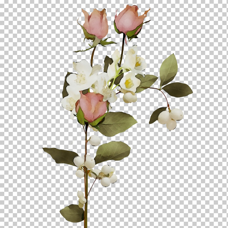 Garden Roses PNG, Clipart, Artificial Flower, Bud, Cut Flowers, Floral Design, Flower Free PNG Download