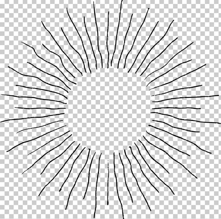 Line Art Drawing PNG