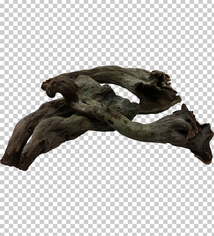 Driftwood Sculpture /m/083vt Fur PNG, Clipart, Driftwood, Fur, M083vt, Mushroom, Nature Free PNG Download