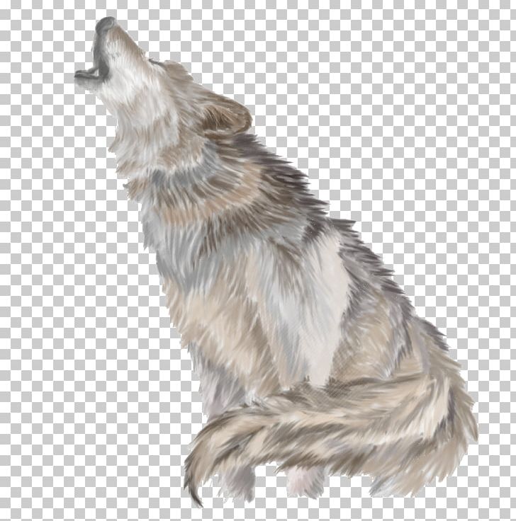 Gray Wolf PNG, Clipart, African Wild Dog, Animals, Aullido, Canidae, Carnivoran Free PNG Download