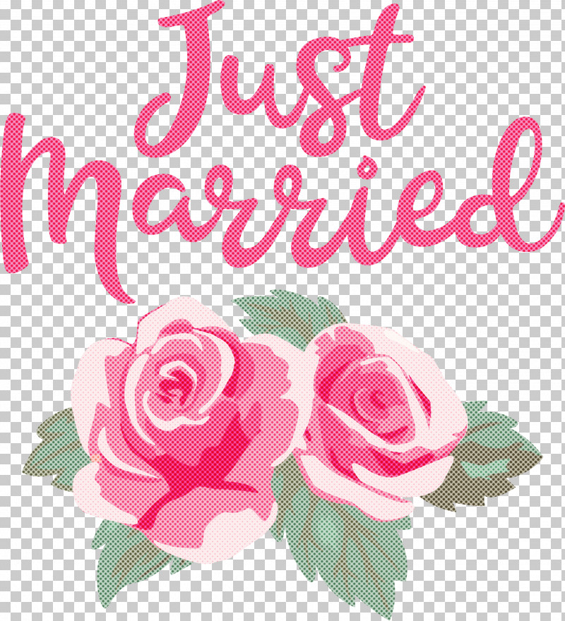 Just Married Wedding PNG, Clipart, Biology, Cabbage Rose, Cut Flowers, Floral Design, Flower Free PNG Download