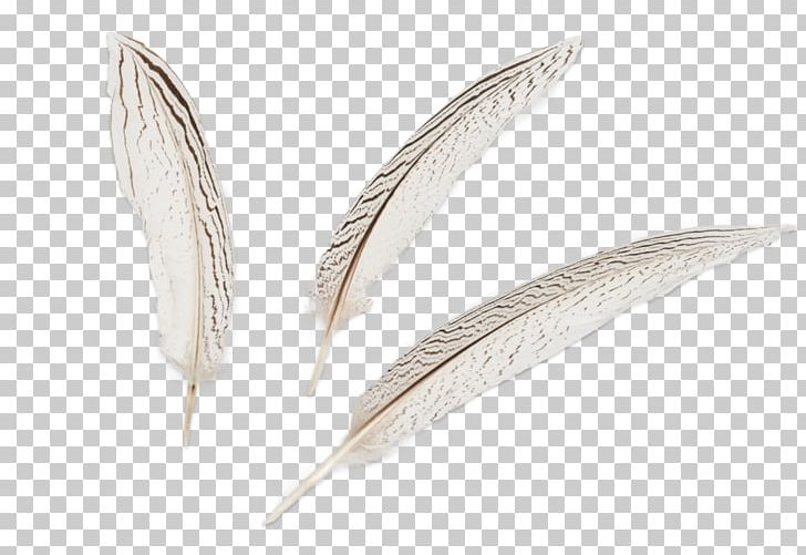 Feather PNG, Clipart, Animals, Feather, Feder, Quill, Wing Free PNG Download