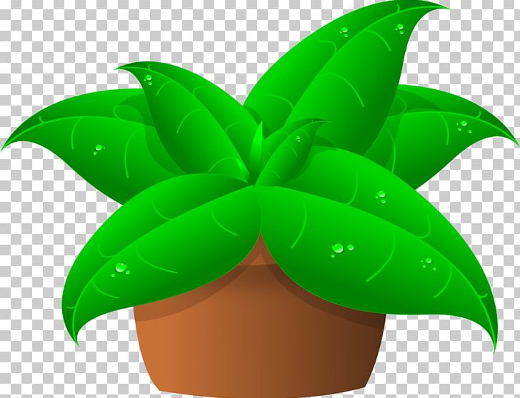 Plant Cattleya Orchids PNG, Clipart, Carnivorous Plant, Cattleya Orchids, Computer Icons, Download, Food Drinks Free PNG Download