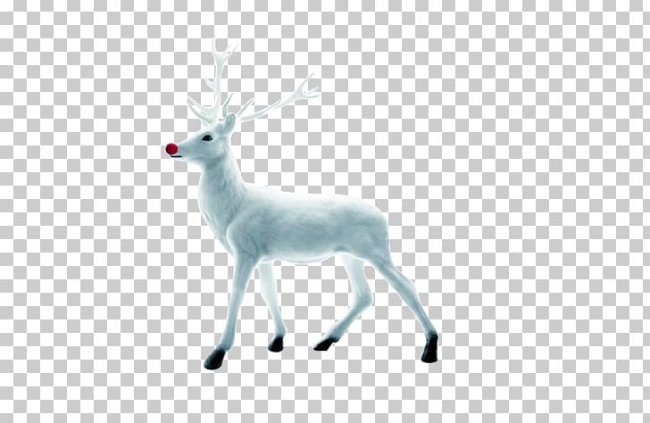 Reindeer Christmas PNG, Clipart, Animal, Antler, Background White, Black White, Cartoon Free PNG Download
