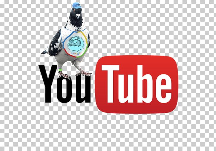 YouTube Live Streaming Media Television Show Video PNG, Clipart, Brand, Broadcasting, Graphic Design, Knowing, Logo Free PNG Download