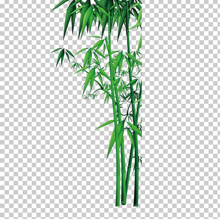 Bamboo PNG, Clipart, Adobe Illustrator, Artemisia Argyi, Bamboo 19 0 1, Bamboo Border, Bamboo Frame Free PNG Download