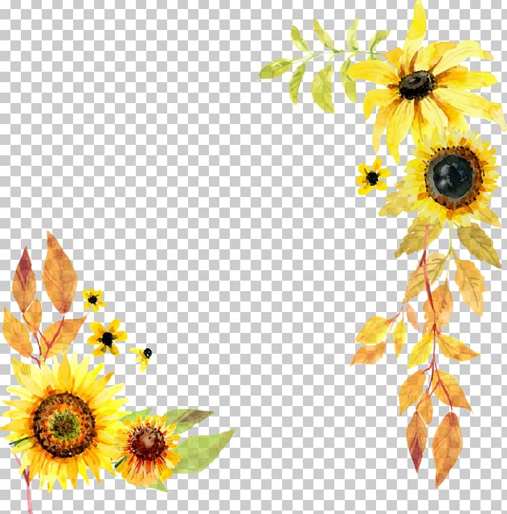 Common Sunflower Red Sunflower 2018 Nissan LEAF PNG, Clipart, 2018 Nissan Leaf, Cut Flowers, Daisy Family, Decorative, Diary Free PNG Download