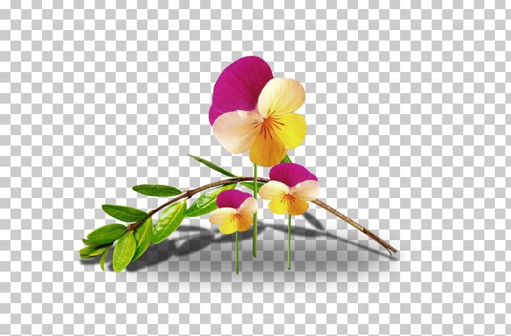 Cut Flowers Animaatio Floral Design PNG, Clipart, Animaatio, Cut Flowers, Flora, Floral Design, Flower Free PNG Download