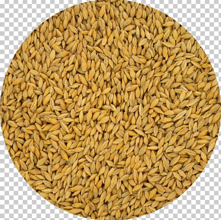 Oat Barley Cereal Whole Grain Spelt PNG, Clipart, Avena, Barley, Barleycorn, Barleys, Cereal Free PNG Download