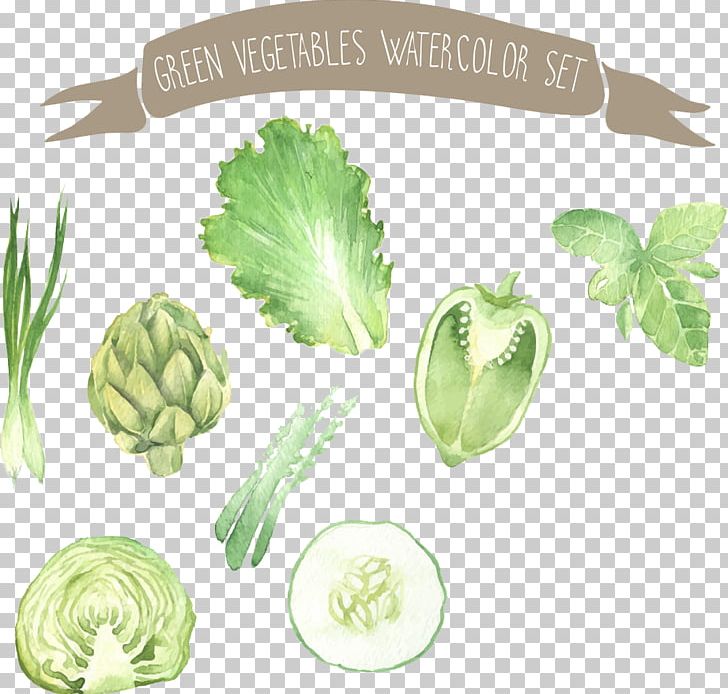 Watercolor Painting Vegetable Drawing Illustration PNG, Clipart, Auglis, Cartoon, Food, Food Drinks, Fruit Free PNG Download