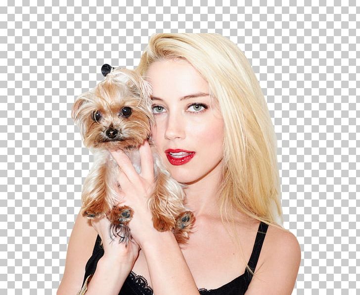 Amber Heard Friday Night Lights Actor Photographer Dog Breed PNG, Clipart, Actor, Amber Heard, Blond, Carnivoran, Companion Dog Free PNG Download