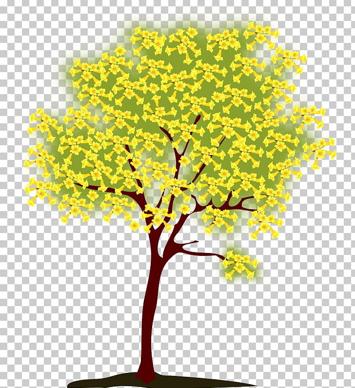 Tree Branch PNG, Clipart, Autumn, Autumn Leaf Color, Bonsai, Branch, Flower Free PNG Download