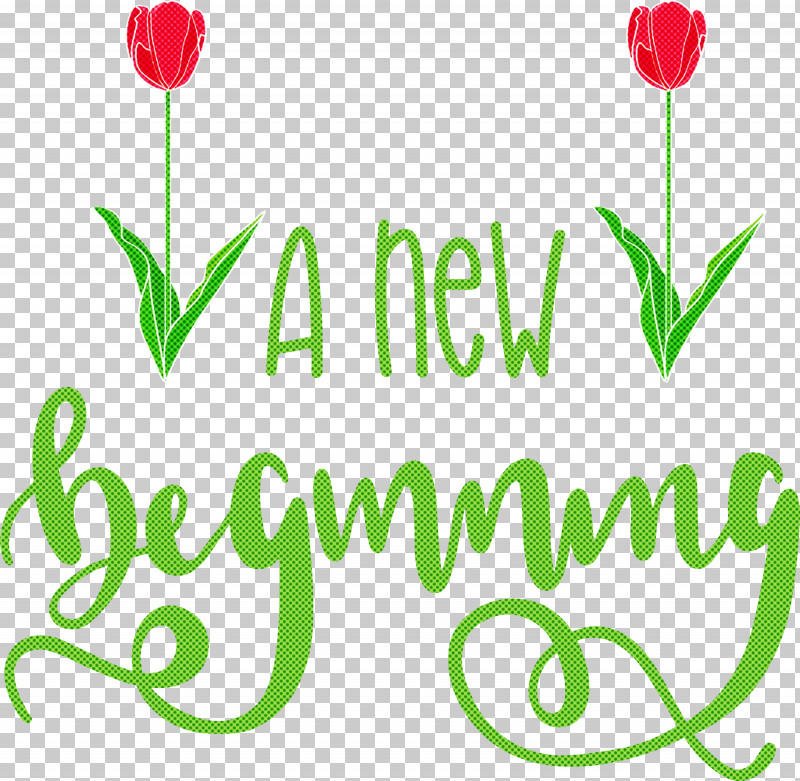 A New Beginning PNG, Clipart, Cut Flowers, Floral Design, Flower, Green, Leaf Free PNG Download