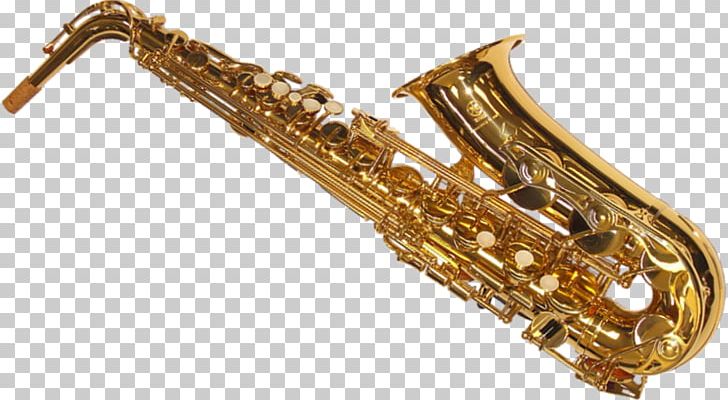 Baritone Saxophone Madras Music Academy Musical Instruments PNG, Clipart, Animusic, Baritone Saxophone, Brass Instrument, Brass Instruments, Family Free PNG Download