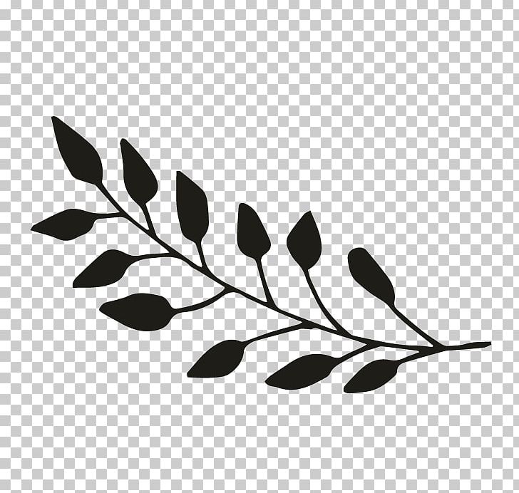 Black And White Monochrome Photography Twig PNG, Clipart, Black, Black And White, Border, Branch, Leaf Free PNG Download
