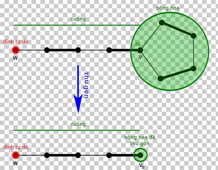 Blossom Algorithm Matching Graph Theory PNG, Clipart,  Free PNG Download