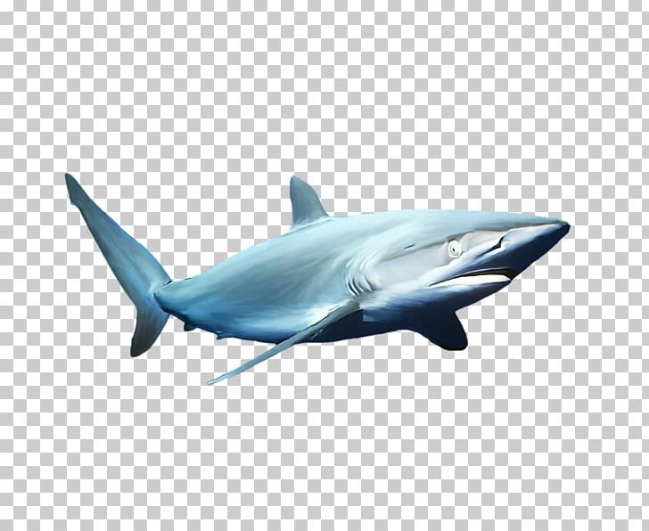 Blue Shark Common Bottlenose Dolphin PNG, Clipart, Animal, Animals, Automotive Design, Blue, Blue Abstract Free PNG Download