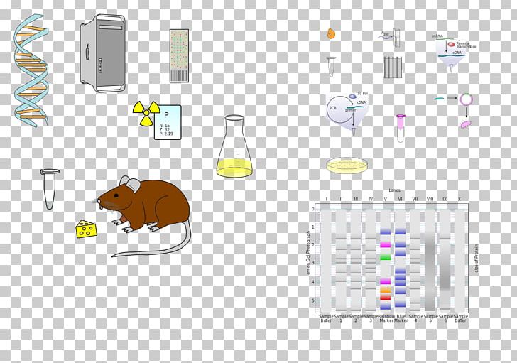 Product Design Pet Pattern Line PNG, Clipart, Area, Diagram, Line, Material, Pet Free PNG Download