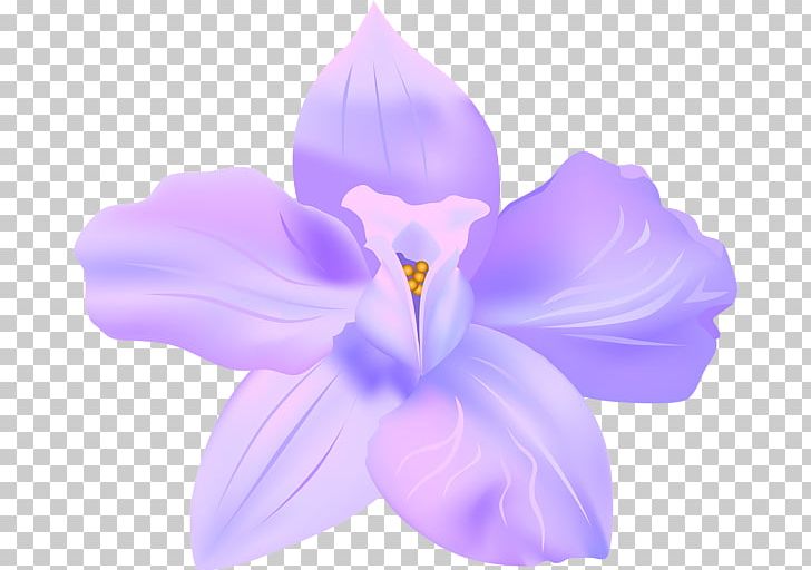 Art PNG, Clipart, Art, Art Museum, Crocus, Decorative, Flower Free PNG Download