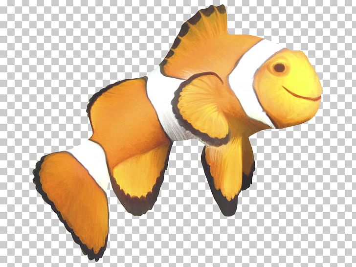 Clownfish Angelfish PNG, Clipart, Angelfish, Animal, Animals, Butterfly, Clown Free PNG Download