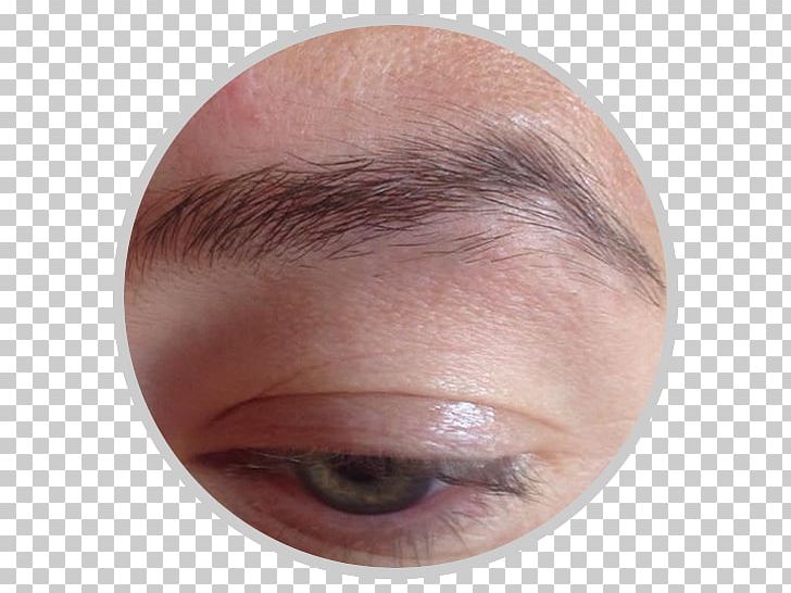 Eyelash Extensions Eyebrow Eye Shadow Forehead Cheek PNG, Clipart, Artificial Hair Integrations, Cheek, Chin, Closeup, Closeup Free PNG Download