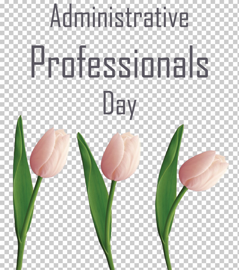 Administrative Professionals Day Secretaries Day Admin Day PNG, Clipart, Admin Day, Administrative Professionals Day, Biology, Bud, Cut Flowers Free PNG Download